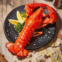 [식품의전당] 자숙 냉동 랍스터 캐나다 랍스타 바닷가재 밀키트 선물세트 특대 구이용 1미 2미 4마리 몸통 red lobster, 2_100%자연산 자숙랍스터 2마리