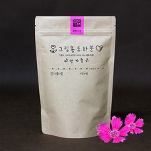 [새싹가게012] 그림봉투화분 - 패랭이꽃