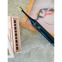 X3U 전동칫솔 Soushi 음파 전동 칫솔 셋트 부드러운, 치아 미백