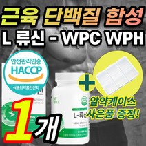 남자 류신 루신 뉴신 근육 단백질 헬스 운동 근손실 L 로이신 이소류신 발린 동물성 식물성 WPC WPH 완두 유청 농축 가수분해 단백질 담백질 단백분말 정 캡슐 노인 어르신 추천, 90정, 1통