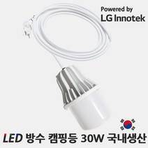 LED 방수 캠핑등 30W 주광색 IP65 국내생산 엘지이노텍칩 작업등 낚시터 포장마차 시장 조명