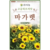 마가렛 1g - 마가렛트 금황꽃 허브 허브씨 허브씨앗 씨 씨앗 마가렛씨앗 마가렛씨 꽃씨 꽃씨앗 다년생 여러해살이 나무쑥갓 marguer, 11_다농_마가렛(1g)