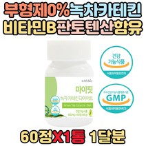 중년 남자 하복부 옆구리 허리 헬스 다이어트보조제 녹차추출물 카테킨 판토텐산 비타민 영양제 건강 기능 보조 식품 복부 남성 체지방 체중 나쁜 LDL 콜레스테롤 수치 감소 컷팅제