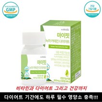 체지방 복부비만 콜레스트테롤개선 다이어트기간에도 복합영양소충족 다이어트 60정