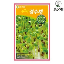 새싹경수채 씨앗 30g 새싹씨앗 비타민 풍부 소화 효과 + 네임택, 단품