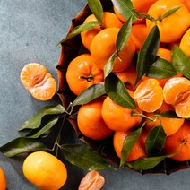 국내산 제주 프리미엄 천혜향 1kg