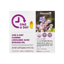 네추럴라이즈 원어데이 감마리놀렌산 보라지오일 효능 1 000mg x 90캡슐, 90정, 2개