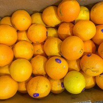 직수입 고당도 네이블 오렌지 88과 중과 20개 40개 17kg, 네이블 오렌지 20개