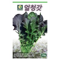 수세미 10립 수세미씨앗 수세미씨 스무드루파 시누아 채소씨 채소씨앗 야채씨앗 야채씨, 02_다농_얼청갓(20g)