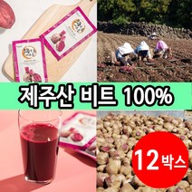 제주산 제주 비트즙 레드비트즙 60팩, 12박스 (8000원 할인), 80ml, 12개