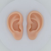 실리콘 귀모형, 왼쪽 귀