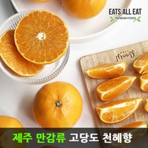이츠올릿 제주도 고당도 감귤 천혜향 3kg 제주 하우스 귤 택배 선물 세트, 레드향_선물용_5kg(중대_17-25과)