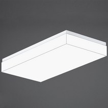 보비쥬 LED 크리아 거실등 2등 60W, 단품