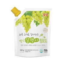 꽃샘 별난알맹이 청포도 음료베이스 500g, 5개