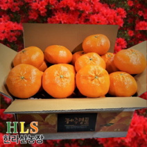 한라산농장 레드향 5KG 랜덤1종발송(소/중/대) 홍보용 한정판매 - 불만족시 무료반품 -