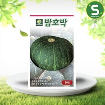 솔림텃밭몰 밤호박씨앗 30립 호박씨앗 밤호박, 1개