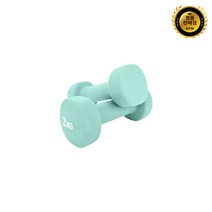 이고진 헬스런 미용아령 네오플랜 민트, 2개입, 2kg