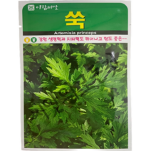 재래종 쑥씨앗1만립 피레트린 성분 다량 함유 식용 쑥종자 아람종묘, 1개
