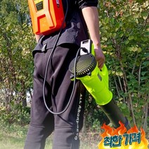 낙엽 블로워 제설 대포 세차 공업용, 20A 백팩 리튬 배터리