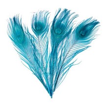 공예용깃털 펜 먼지털이 10 개/몫 염색 공작 깃털 길이 25-30CM 인치 Diy 보석 장식 꿩, 13 Lake Blue