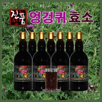 장녹원 엉겅퀴효소 1100ml, 1병