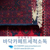 침대청소비용 매트세척 매트리스살균소독 침구살균 소변냄새제거 오줌냄새제거 집먼지진드기알레르기 강아지오줌청소 라텍스매트리스세탁 매트청소업체 집먼지진드기이불
