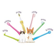 Ci메디컬 반려동물 강아지 고양이 칫솔 모음, 6. 콤비칫솔(색상랜덤)