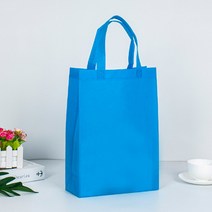 에클리츠 단색 부직포 가방 쇼핑백 (대) 학원가방, 1개입, 블루