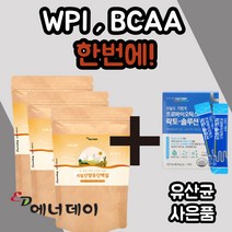 리얼 네달란드 산양유 단백질 프로틴 컴플렉스 복합 뼈 척추 관절 락토 락도 페린 패린 밀크 세라마이드 미셀라 카제인 칼슘 WPI BCAA 남성 여성 성인 할아버지 할머니 부모님, 140gx3봉