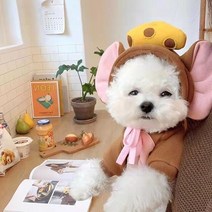 헤어 귀여운 과일 개 후드 양털 애완 동물 옷 작은 중형 코트 강아지 고양이 의상 프랑스 치와와 재킷 정장, [01] XS, [08] Brown Mouse Sweater