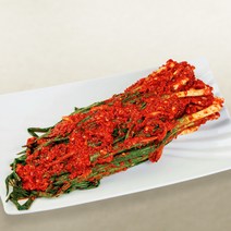 선화동 실비집 매운 실비김치 파김치 1kg