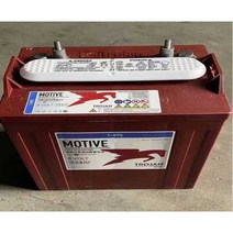 딥사이클밧데리 고소작업 배터리 청소차 골프카트, T875(8V170AH)
