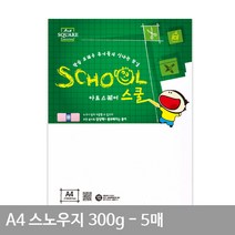 (센스올) 스노우지(표면광택) A4 평량 300g 5매