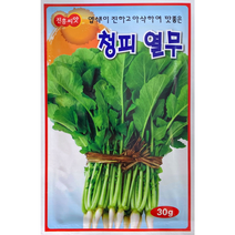 진흥종묘 청피열무씨앗30g