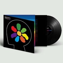 LP 일본직배송 All The Colours Of You [LP] [12 inch Analog], 한개옵션0