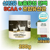 헬스 운동 단백질 보충제 고단백 BCAA 건강 음료 쉐이크 마시는 맛있는 프로틴 프로테인 20대 30대 40대 남자 여자 식물성 동물성 분리대두단백 락토페린 혼합 유산균 한끼 식사