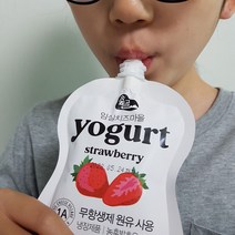 더진한 플레인요거트 농후발효유 딸기 블루베리 숲골 임실치즈마을 짜먹는 요거트 10팩, 2. 블루베리 120ml (10팩)