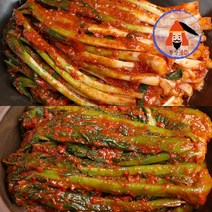 [황장군] 당일제조 여수 전라도 파김치 돌산 갓김치 1kg 2kg 3kg, 1000g, 여수 돌산 갓김치