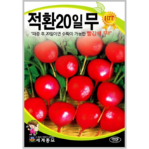 적환20일무 1000립/무우씨 무 종자