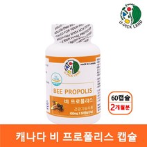 캐나다 비 프로폴리스 캡슐 수용성프로폴리스 고함량 플라보노이드 17mg 추출물 분말 마그네슘 프로폴리스알약 프로폴리스영양제 BEE PROPOLIS 항산화 환절기 구강건강 직수입, 1개, 60캡슐