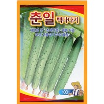 사카타오이씨앗 춘일백다다기100립