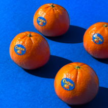 미국산 만다린 오렌지 미국 귤 감귤 캘리포니아 큐티스만다린, 2kg, 1개