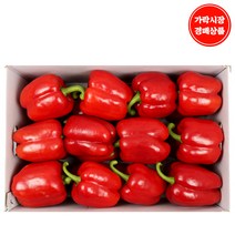[맛다름] [가락시장 경매 식자재 채소] 파프리카 5kg내외(22~30개입) 빨강, 1box