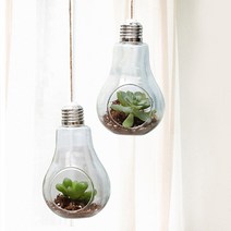 전구화분 백열등 화분 테라리움 다육화분