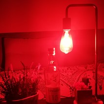 이루다이엔엘 ST64 LED 에디슨 레드 블루 BAR 분위기 감성전구