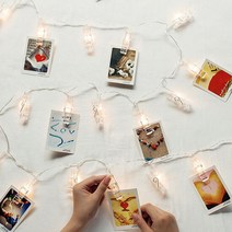 인블룸 LED 클립 전구 무드등 3m 20구, 선택:단일상품