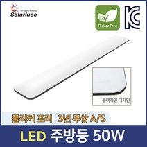 솔라루체 더리브 LED 주방등 50W 플리커프리 조명 다용도 실내등 홈조명, 더리브 LED 긴 주방등 50W - 주광