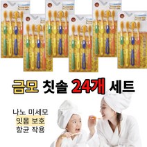 24개 세트 수입 골드 금 모 칫솔 이중 나노 미세 초 극세 향균 치솔 기능성 부드러운 풍성한, 24개 1세트