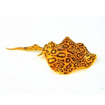 어항 꾸미기 바닥재 어항돌 은신처 장식품 장식 산호사 해수염 기왓장 칸막이 화산석 빛나는 빛나는 인공 악마 금붕어 해파리 말미잘 수족관 잠수함 수중, 노란색