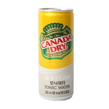 캐나다드라이 토닉워터 캔 250ml 12개세트